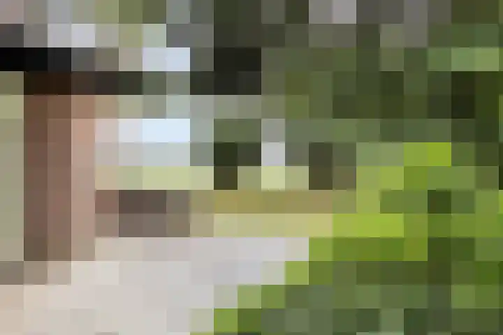 Hogeveldsweg 26 133 Giethmen thumbnail 34