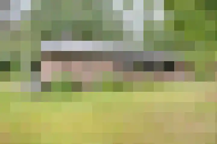 Hogeveldsweg 26 133 Giethmen thumbnail 36