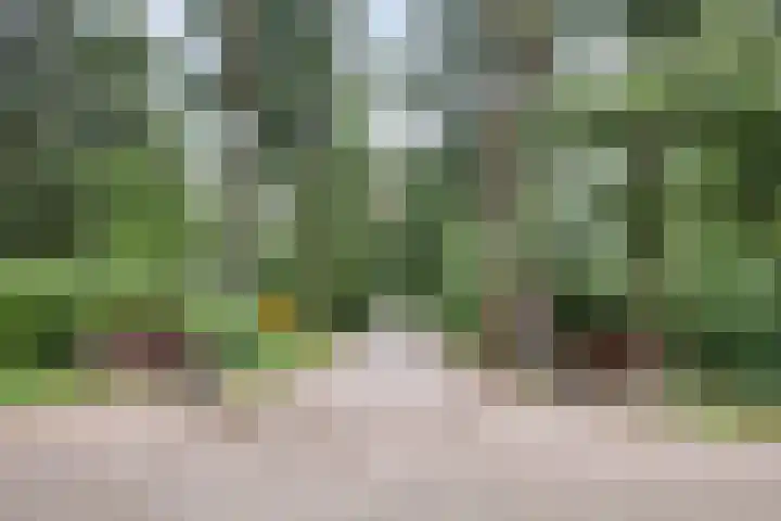 Hogeveldsweg 26 133 Giethmen thumbnail 4