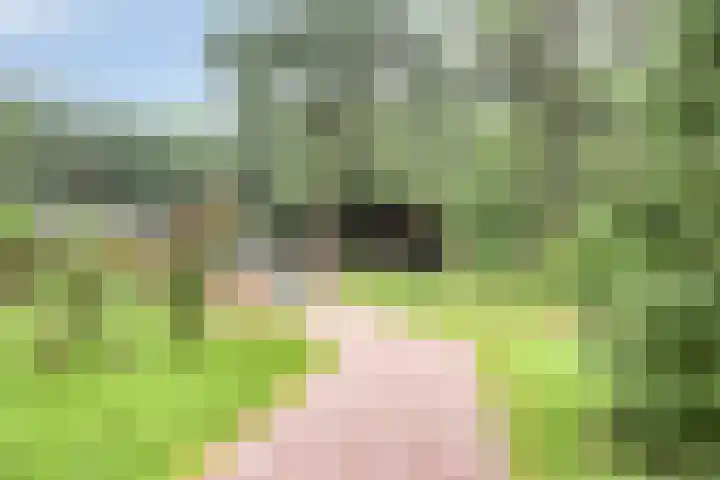 Hogeveldsweg 26 133 Giethmen thumbnail 5