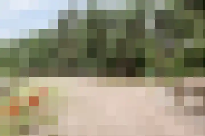 Hogeveldsweg 26 133 Giethmen thumbnail 9