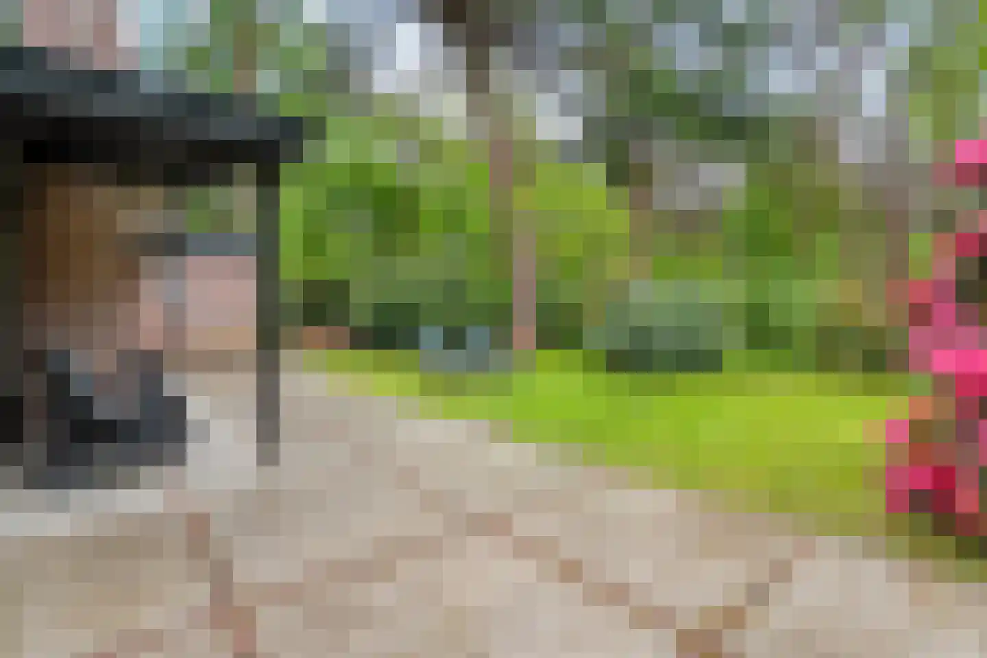 Hogeveldsweg 26 160 Giethmen thumbnail 11