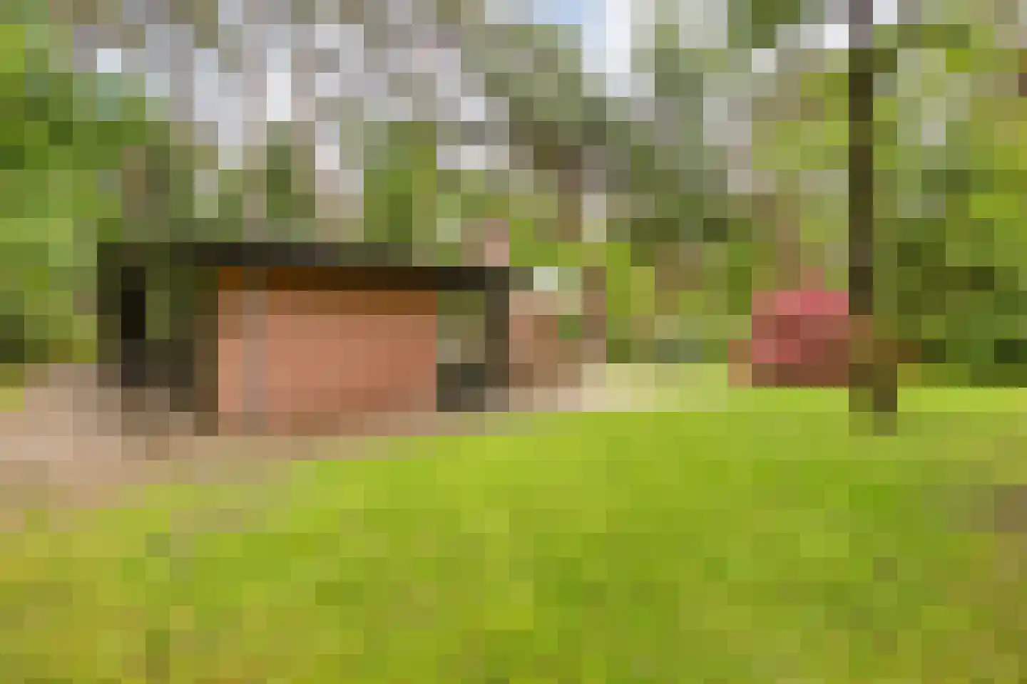 Hogeveldsweg 26 160 Giethmen thumbnail 12