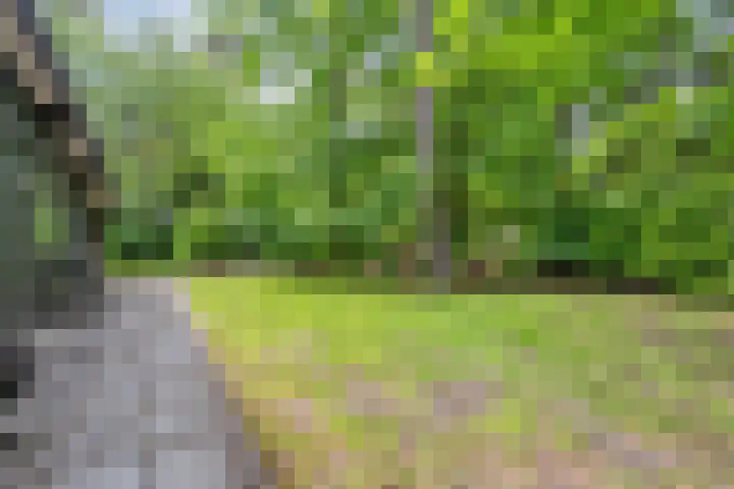 Hogeveldsweg 26 160 Giethmen thumbnail 13