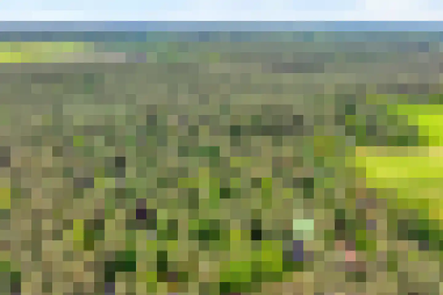Hogeveldsweg 26 160 Giethmen thumbnail 14