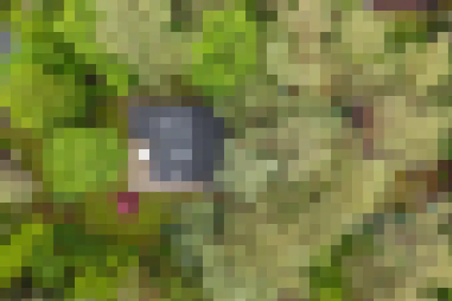 Hogeveldsweg 26 160 Giethmen thumbnail 16