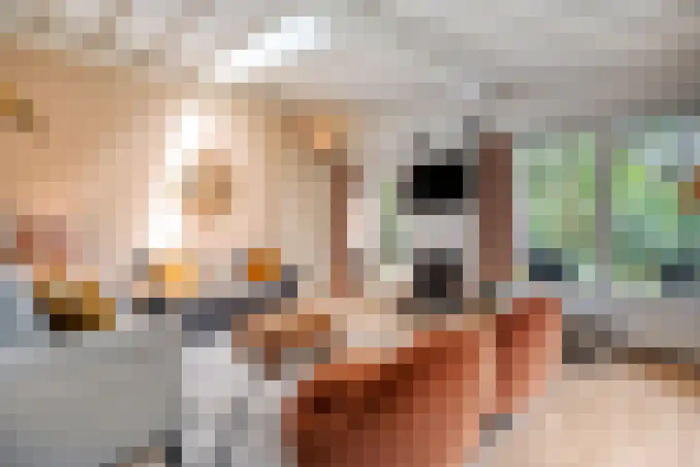 Hogeveldsweg 26 160 Giethmen thumbnail 17