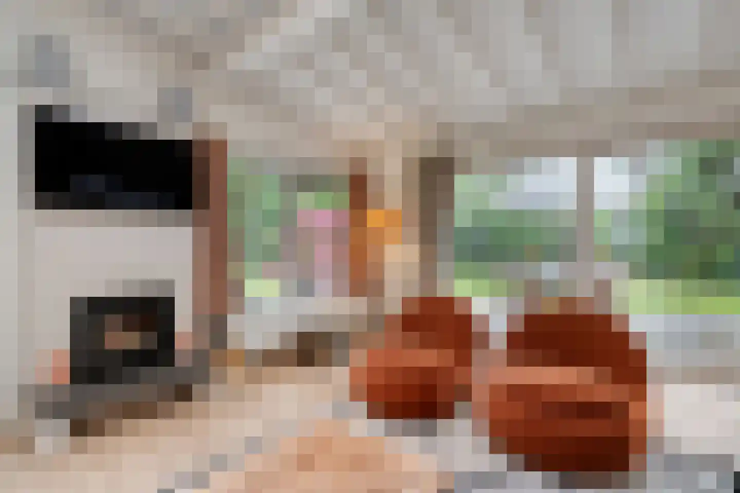 Hogeveldsweg 26 160 Giethmen thumbnail 20