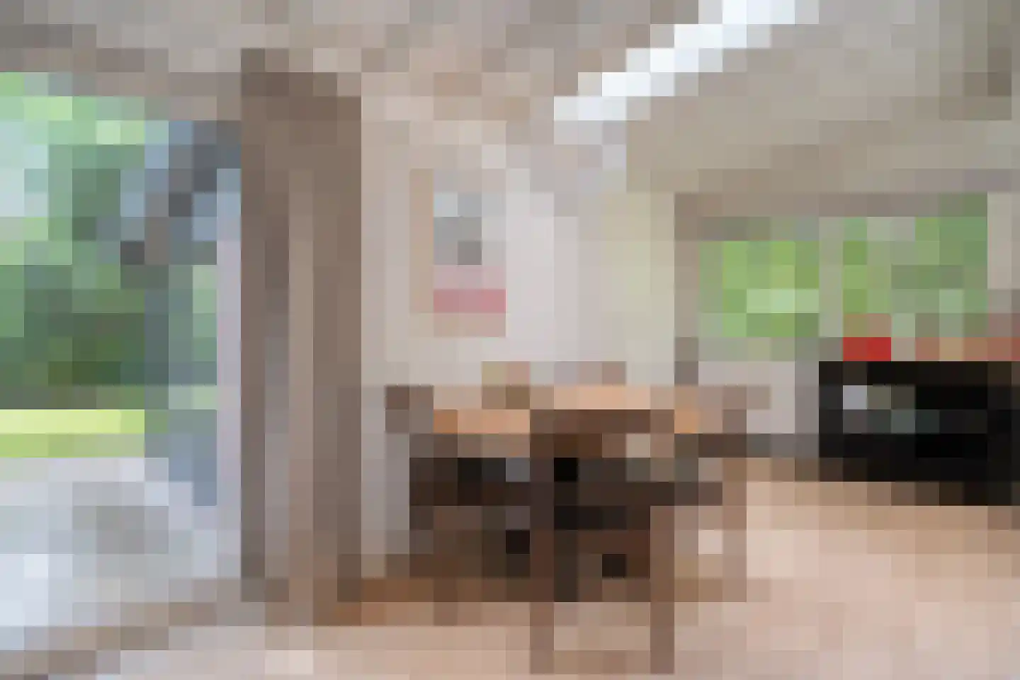 Hogeveldsweg 26 160 Giethmen thumbnail 24