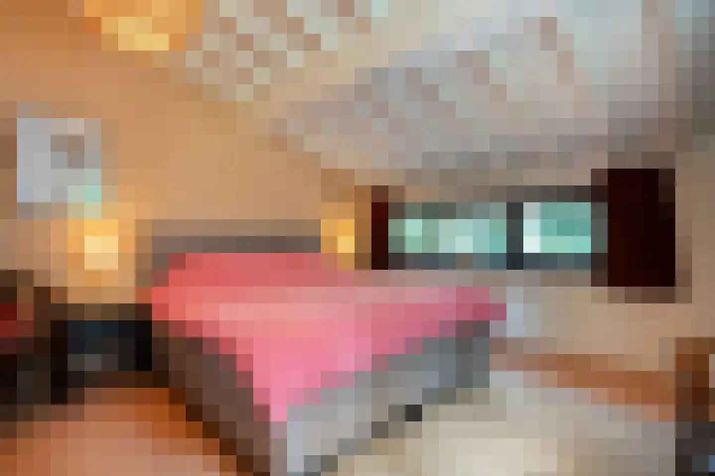 Hogeveldsweg 26 160 Giethmen thumbnail 28