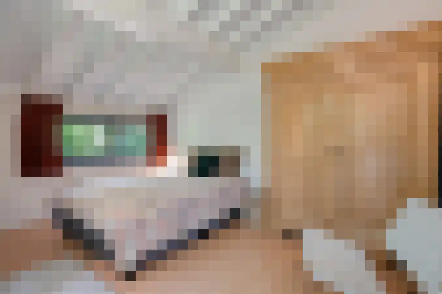Hogeveldsweg 26 160 Giethmen thumbnail 29