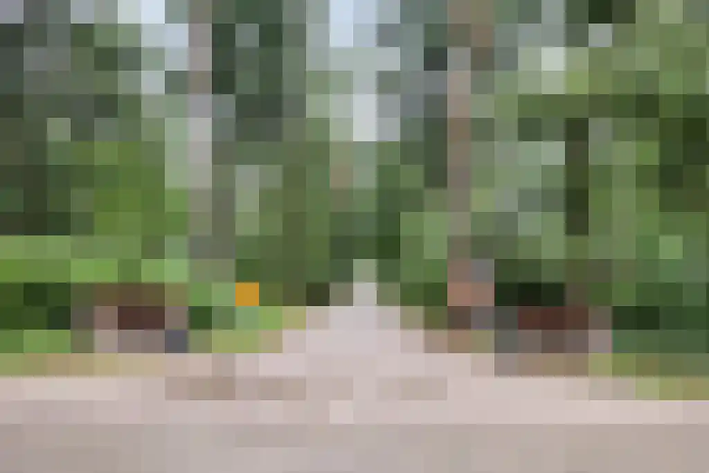 Hogeveldsweg 26 160 Giethmen thumbnail 36