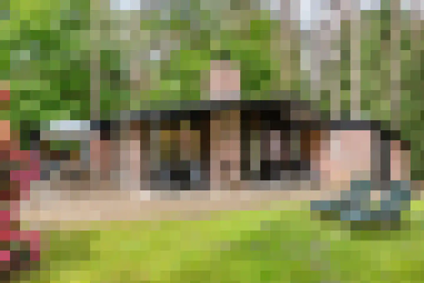 Hogeveldsweg 26 160 Giethmen thumbnail 4