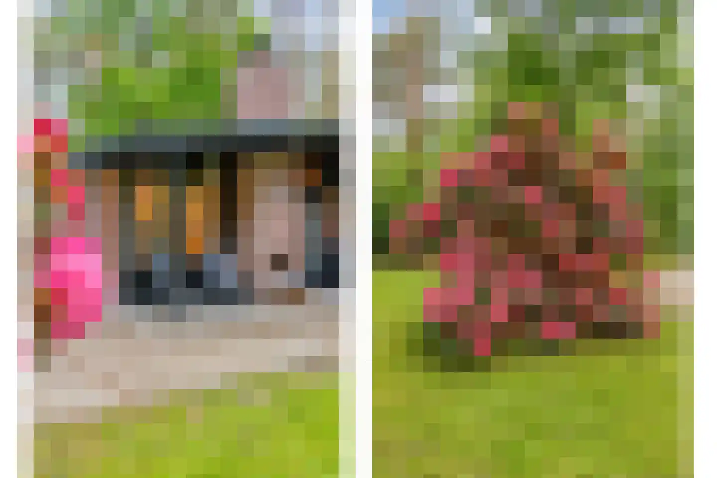 Hogeveldsweg 26 160 Giethmen thumbnail 6