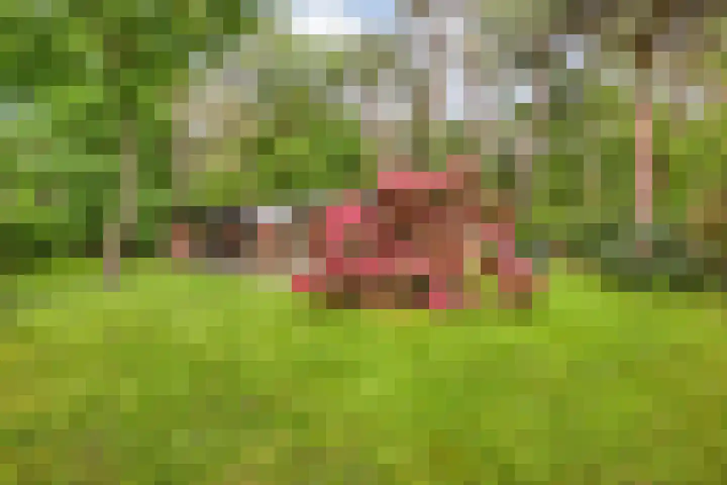 Hogeveldsweg 26 160 Giethmen thumbnail 9