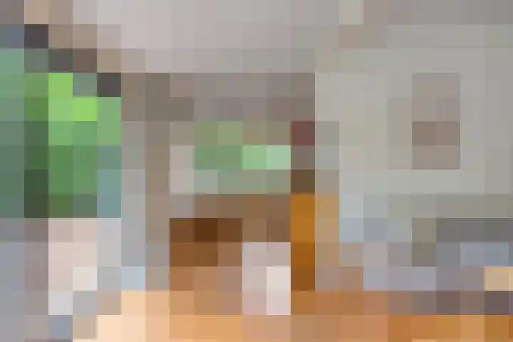 Hogeveldsweg 26 196 Giethmen thumbnail 11