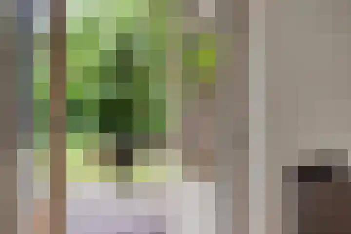 Hogeveldsweg 26 196 Giethmen thumbnail 14