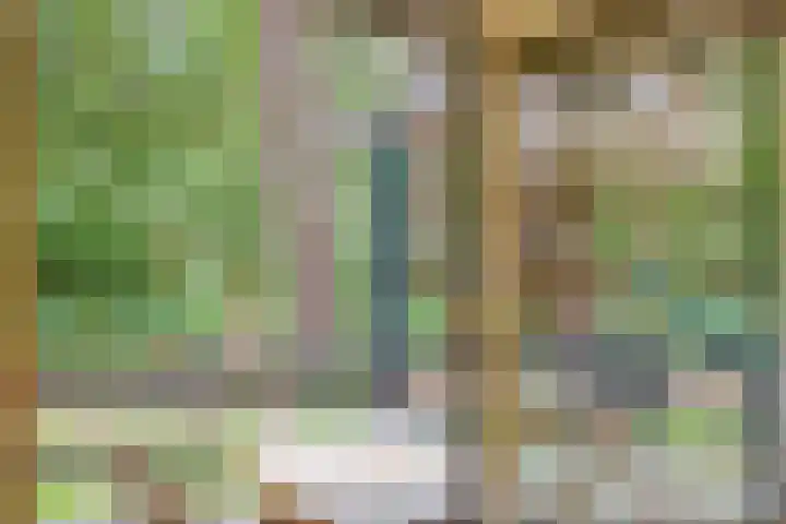 Hogeveldsweg 26 196 Giethmen thumbnail 22