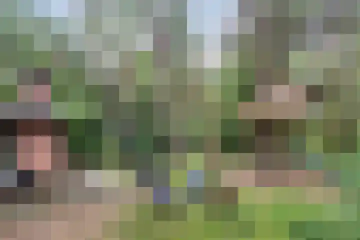 Hogeveldsweg 26 196 Giethmen thumbnail 28