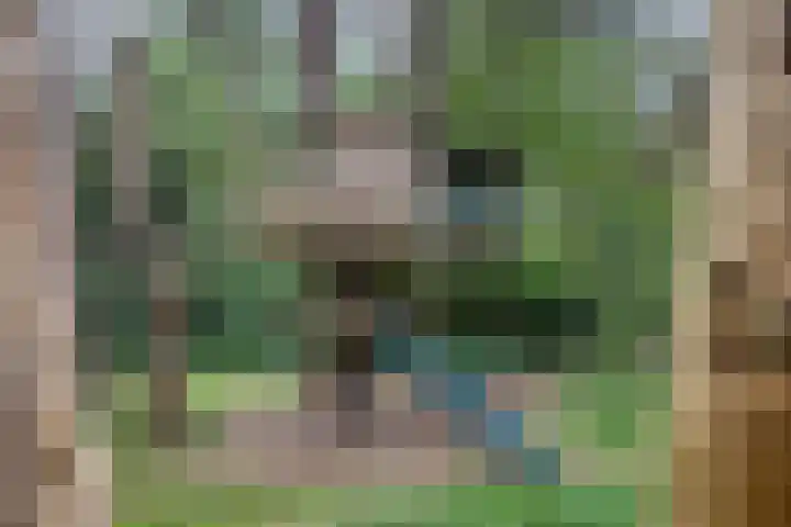 Hogeveldsweg 26 196 Giethmen thumbnail 29