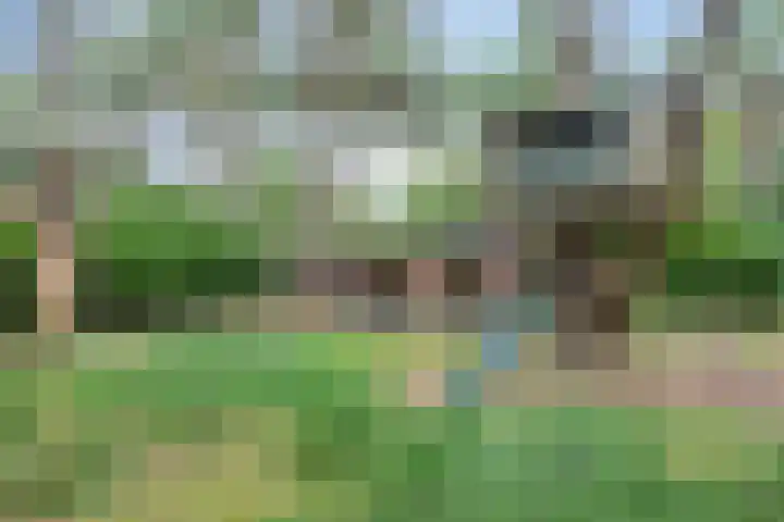 Hogeveldsweg 26 196 Giethmen thumbnail 30