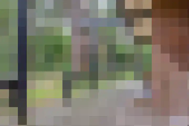 Hogeveldsweg 26 196 Giethmen thumbnail 31