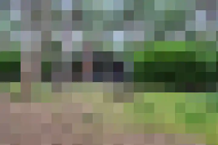 Hogeveldsweg 26 196 Giethmen thumbnail 35