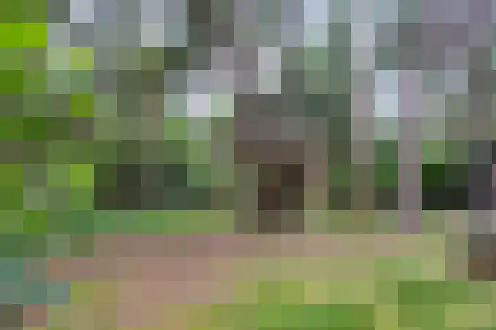 Hogeveldsweg 26 196 Giethmen thumbnail 37