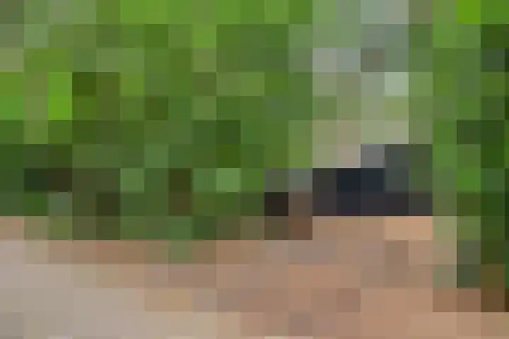 Hogeveldsweg 26 196 Giethmen thumbnail 4