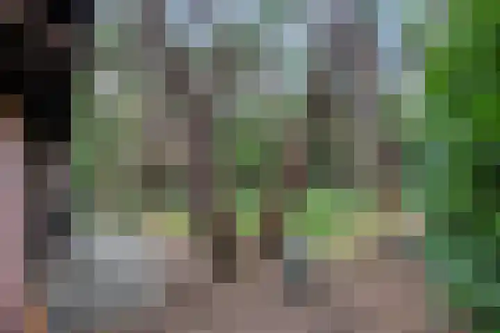 Hogeveldsweg 26 196 Giethmen thumbnail 40