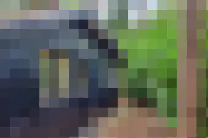 Hogeveldsweg 26 196 Giethmen thumbnail 6