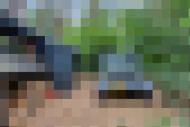 Hogeveldsweg 26 196 Giethmen thumbnail 7
