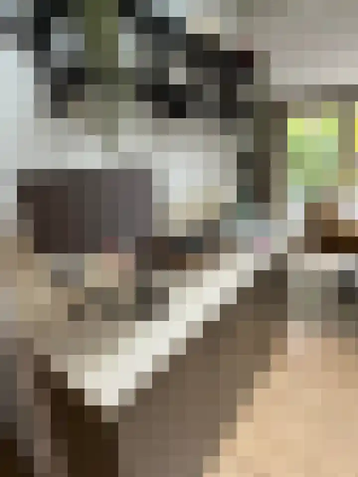 Hogeveldsweg 26 199 Giethmen thumbnail 14