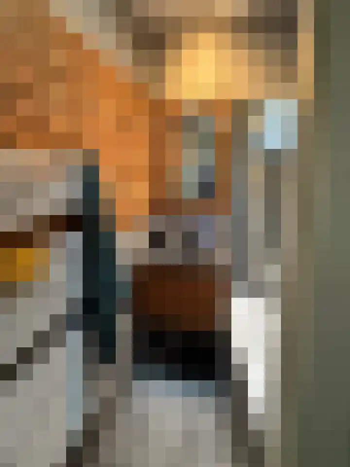 Hogeveldsweg 26 199 Giethmen thumbnail 17