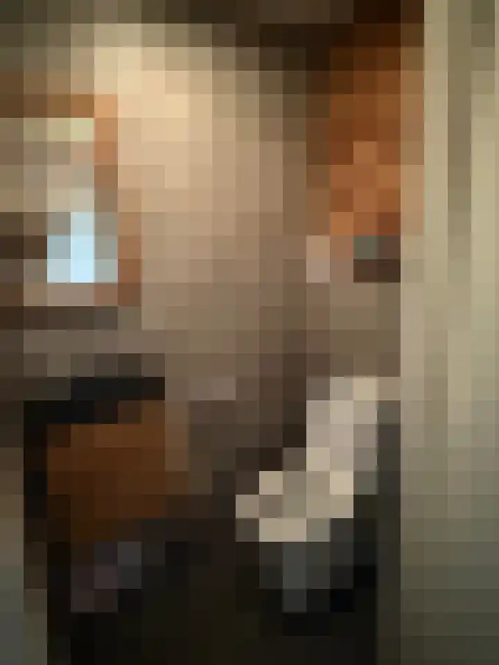 Hogeveldsweg 26 199 Giethmen thumbnail 18