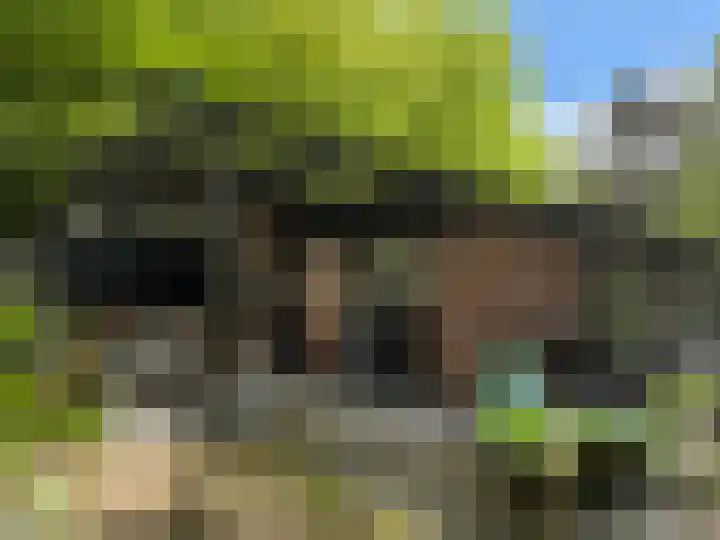 Hogeveldsweg 26 199 Giethmen thumbnail 5