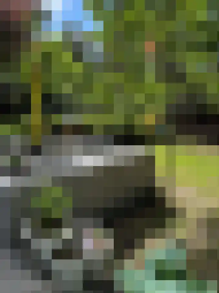 Hogeveldsweg 26 199 Giethmen thumbnail 7