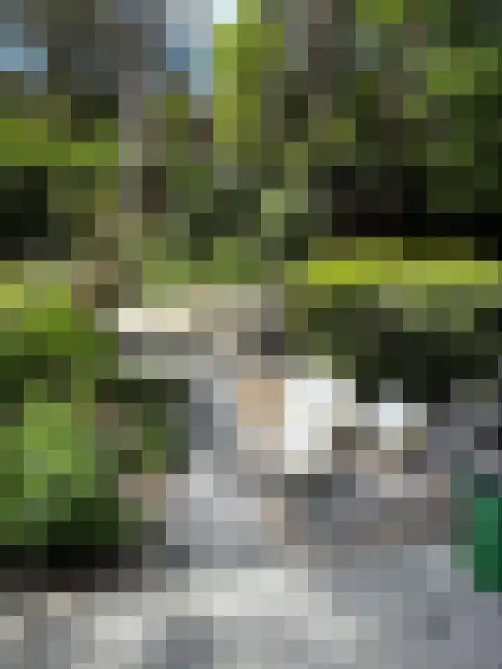 Hogeveldsweg 26 199 Giethmen thumbnail 8