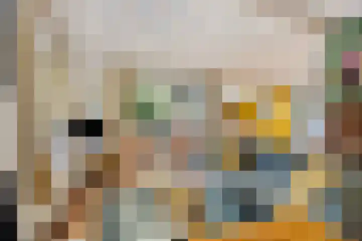 Hogeveldsweg 26 225 Giethmen thumbnail 11