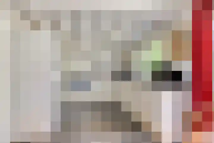 Hogeveldsweg 26 225 Giethmen thumbnail 19