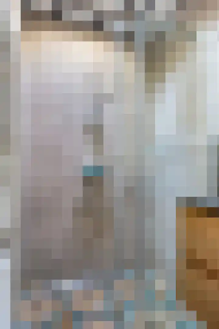 Hogeveldsweg 26 225 Giethmen thumbnail 26