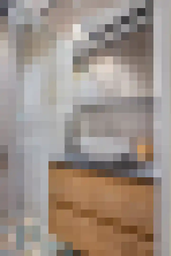 Hogeveldsweg 26 225 Giethmen thumbnail 27