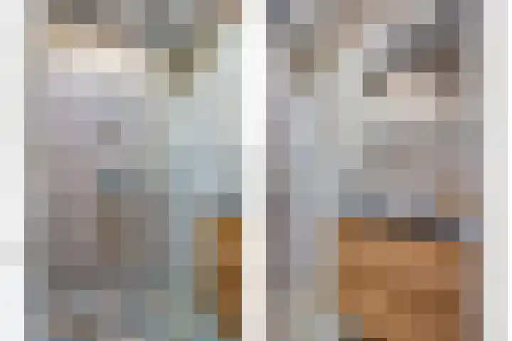 Hogeveldsweg 26 225 Giethmen thumbnail 28