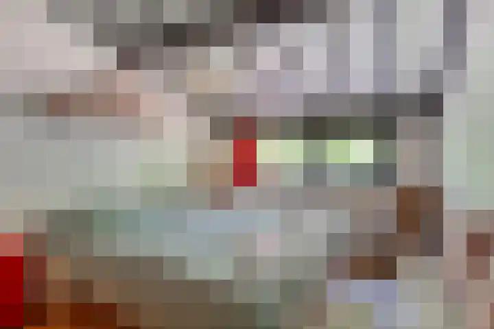 Hogeveldsweg 26 225 Giethmen thumbnail 30
