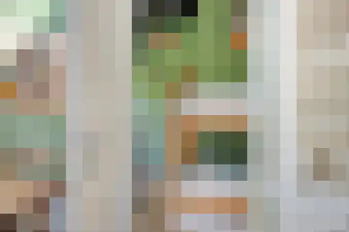 Hogeveldsweg 26 225 Giethmen thumbnail 31