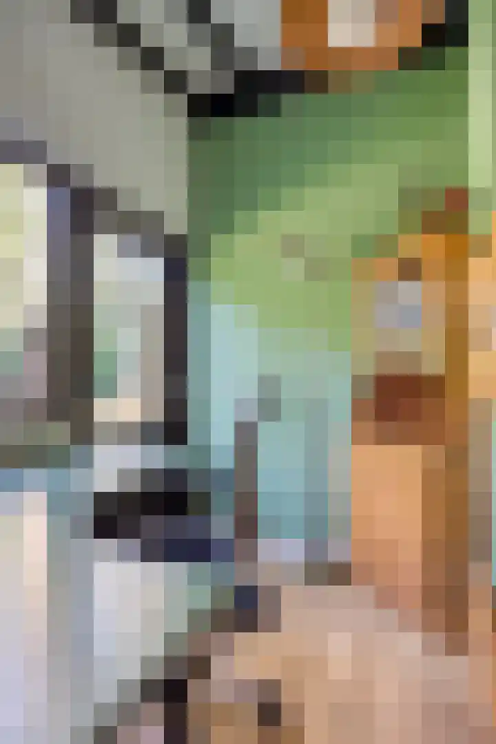 Hogeveldsweg 26 225 Giethmen thumbnail 32