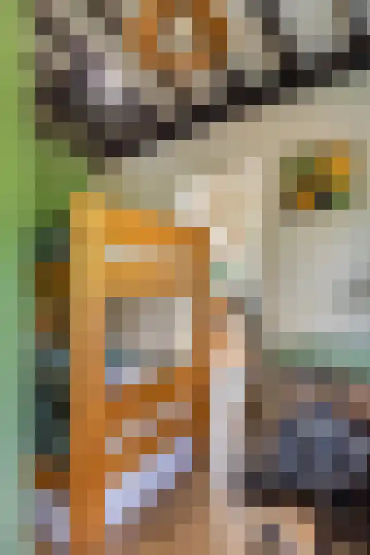 Hogeveldsweg 26 225 Giethmen thumbnail 33