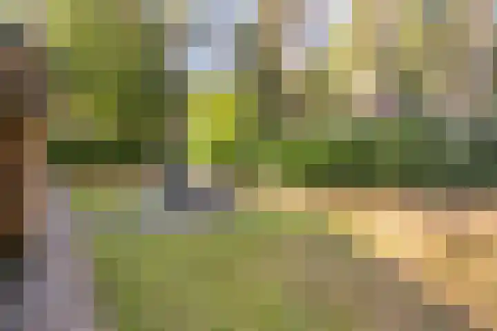 Hogeveldsweg 26 225 Giethmen thumbnail 39