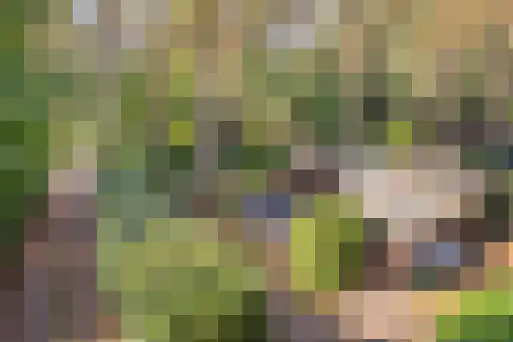 Hogeveldsweg 26 225 Giethmen thumbnail 4