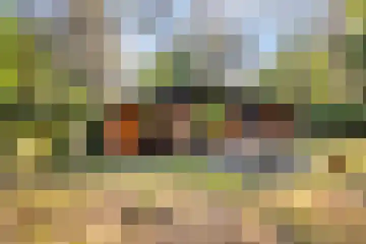Hogeveldsweg 26 225 Giethmen thumbnail 41